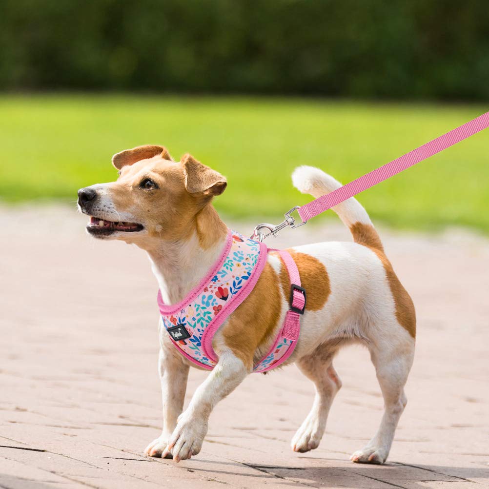 Pupteck Soft Mesh Dog Harness And Leash Set Pet Puppy Cat Comfort Padded Vest No Pull Harnesses, Pink Floral, Xs