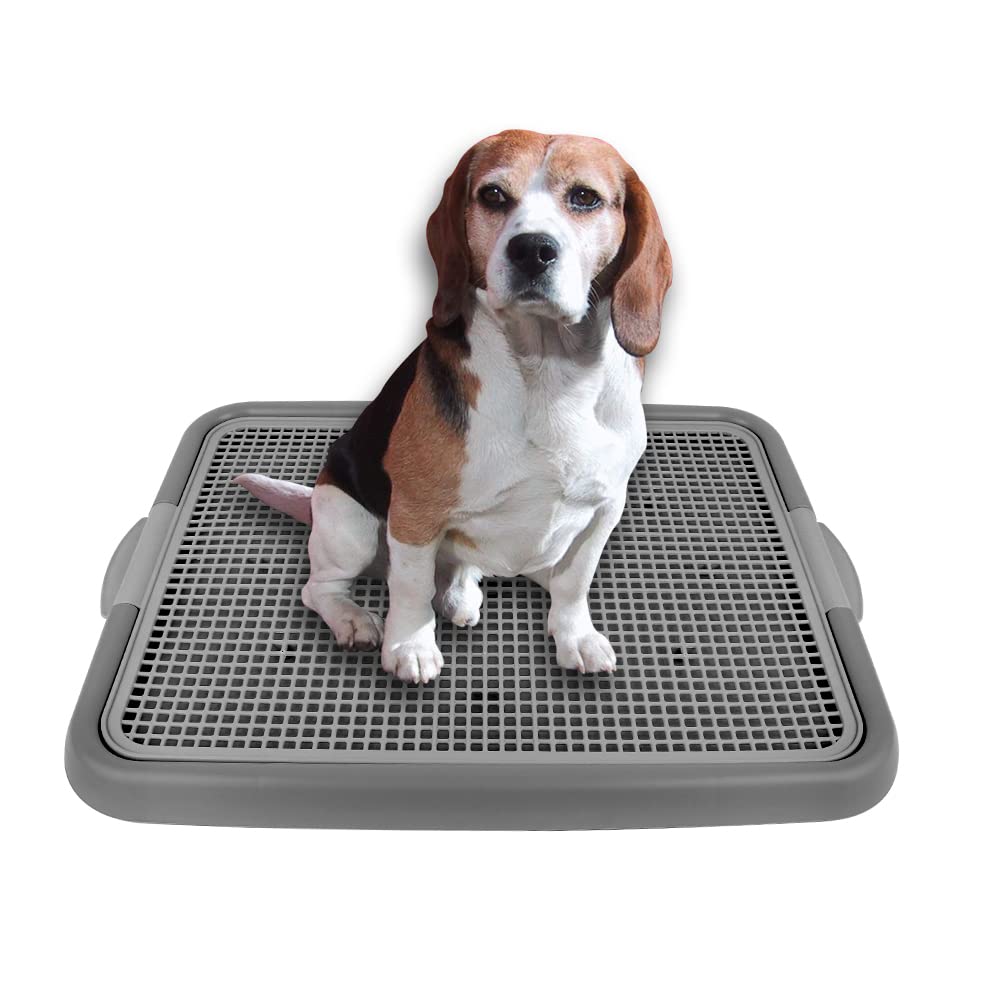 Mesh Training Toilet Potty Tray For Puppy And Small Size Dog 20.3 X 16.3 X 1.2 Inch (Gray+Gray)
