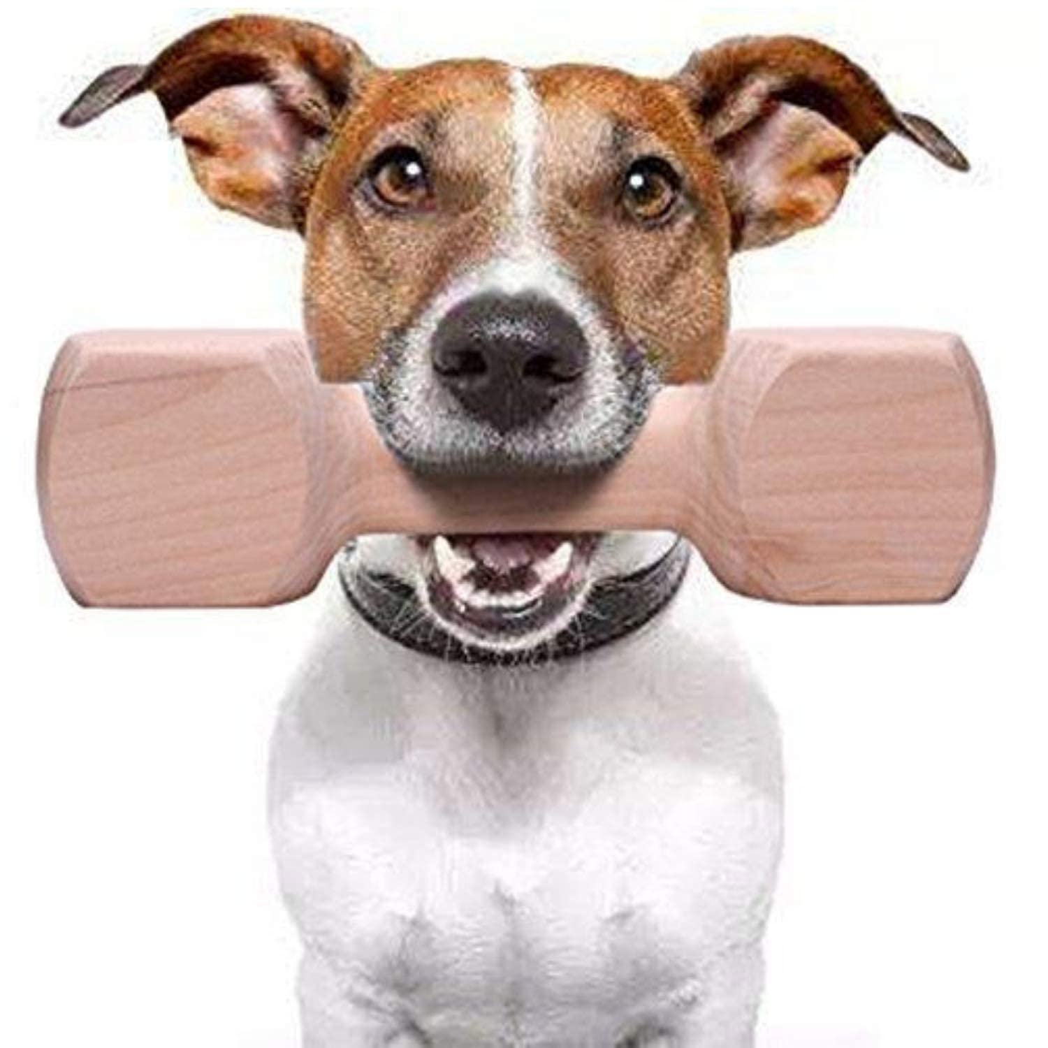 Woofy Wooden Dumbbell Chew Toy Suitable For Dogs And Puppies By 100% Natural Solid Wood Training Tool  Keeps Teeth And Gums Hea