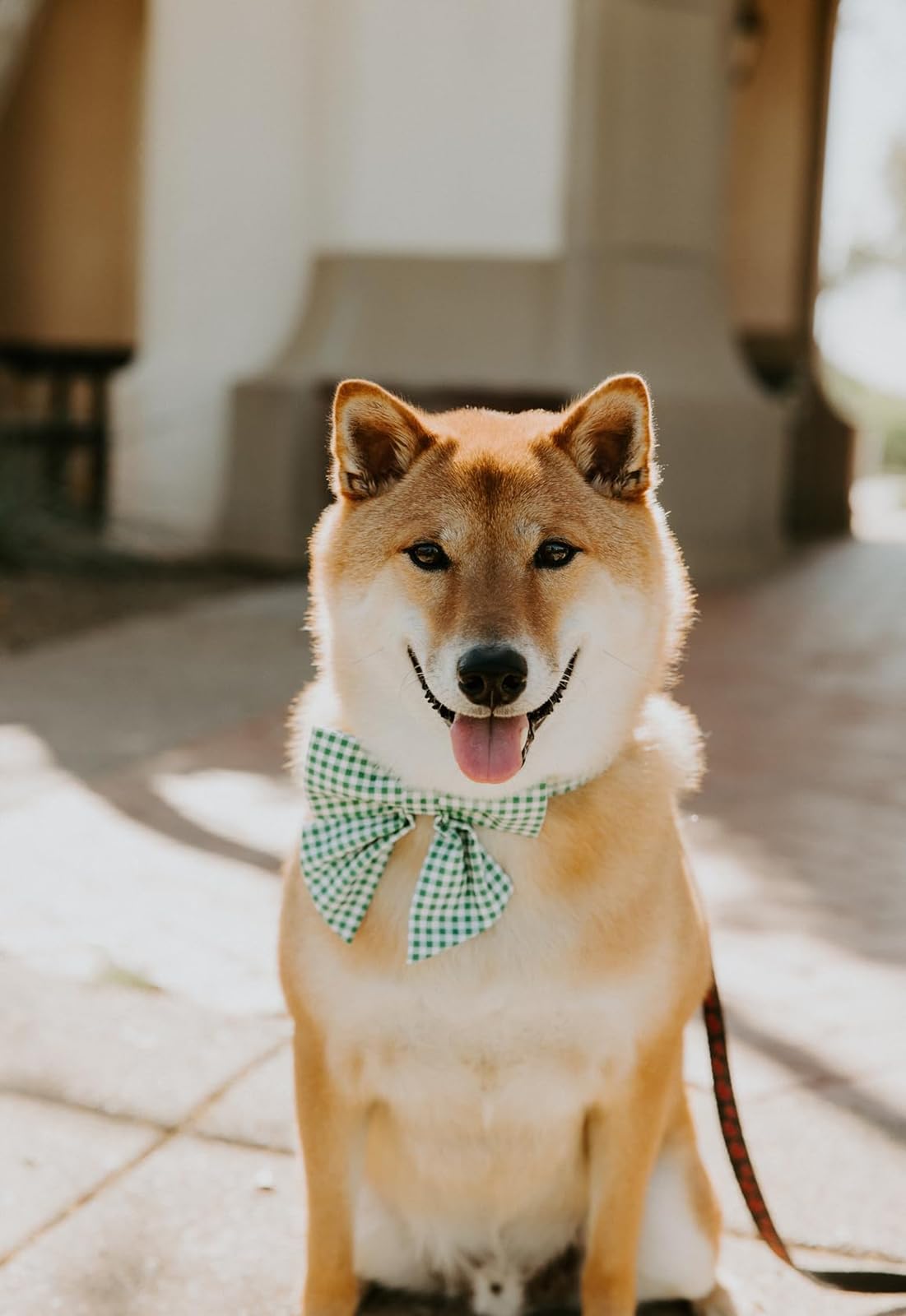 Lionet Paws Dog Collar With Sailor Bow, Durable Adjustable And Comfortable Green Bowtie Collar For Dogs, Medium, Neck 13.5-22In