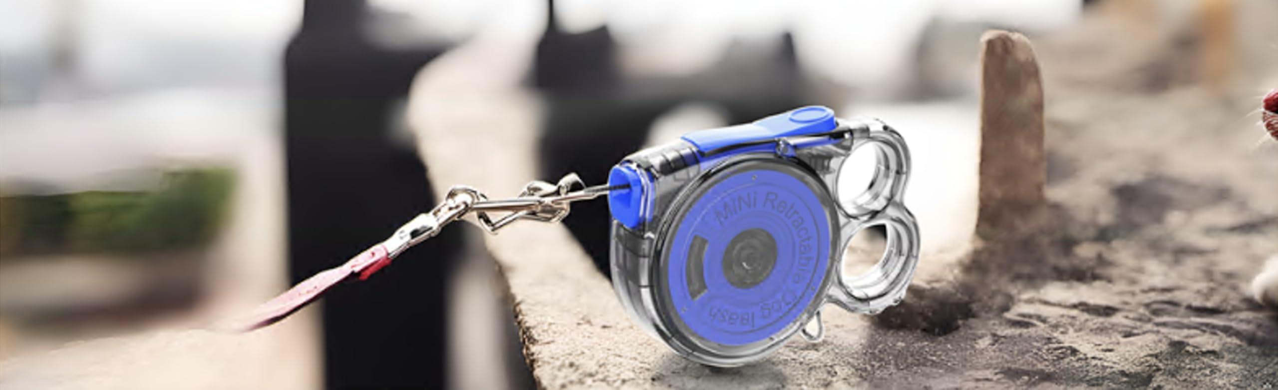 Transparent Rainbow Small Dog Retractable Leash For Small Dogs And Cats Up To 360 Tangle-Free One-Hand Brake 18 Lbs 10-Foot Tape