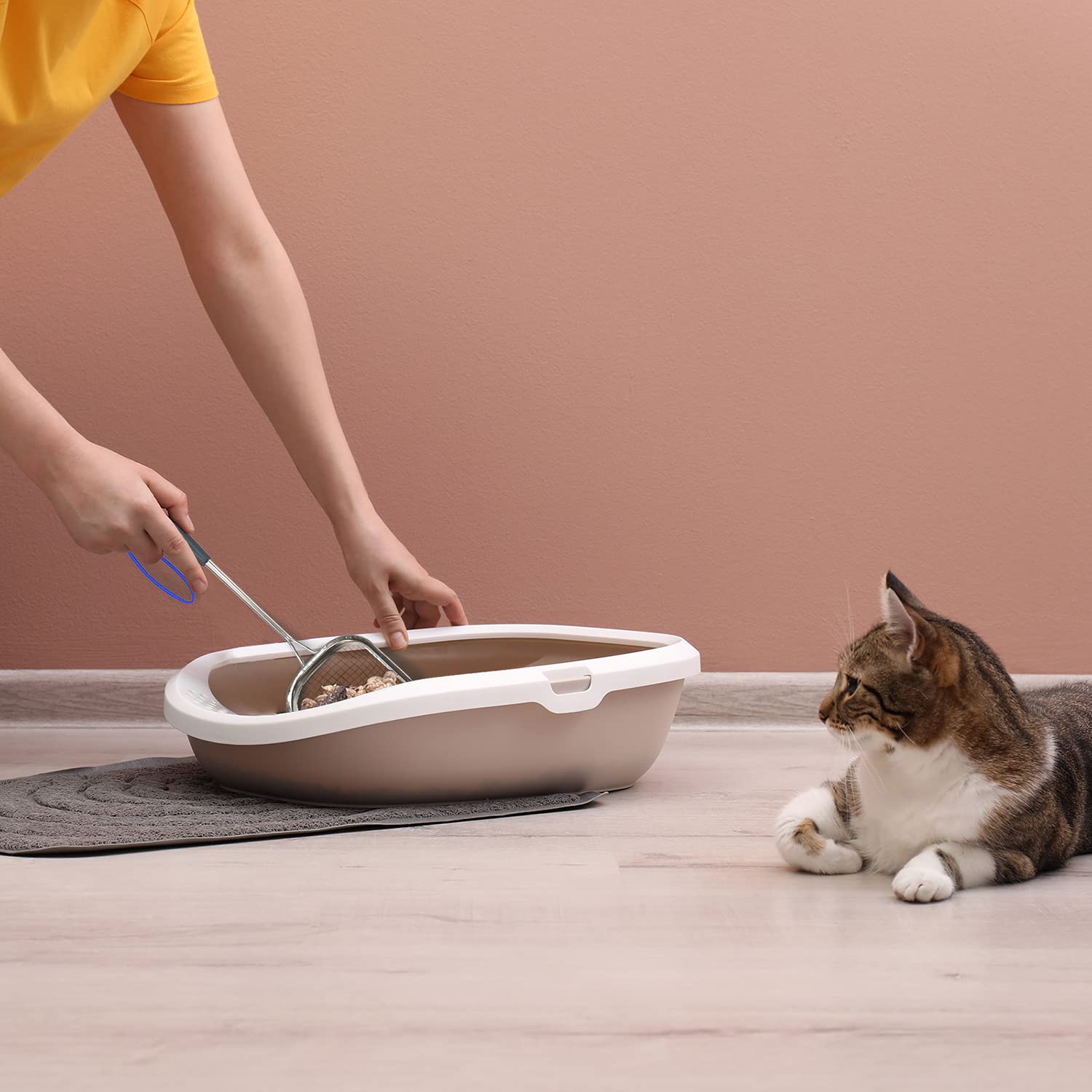 Sand Dipper Square Cat Scoop - Stainless Steel Long Cat Litter Scoop (Scoop)