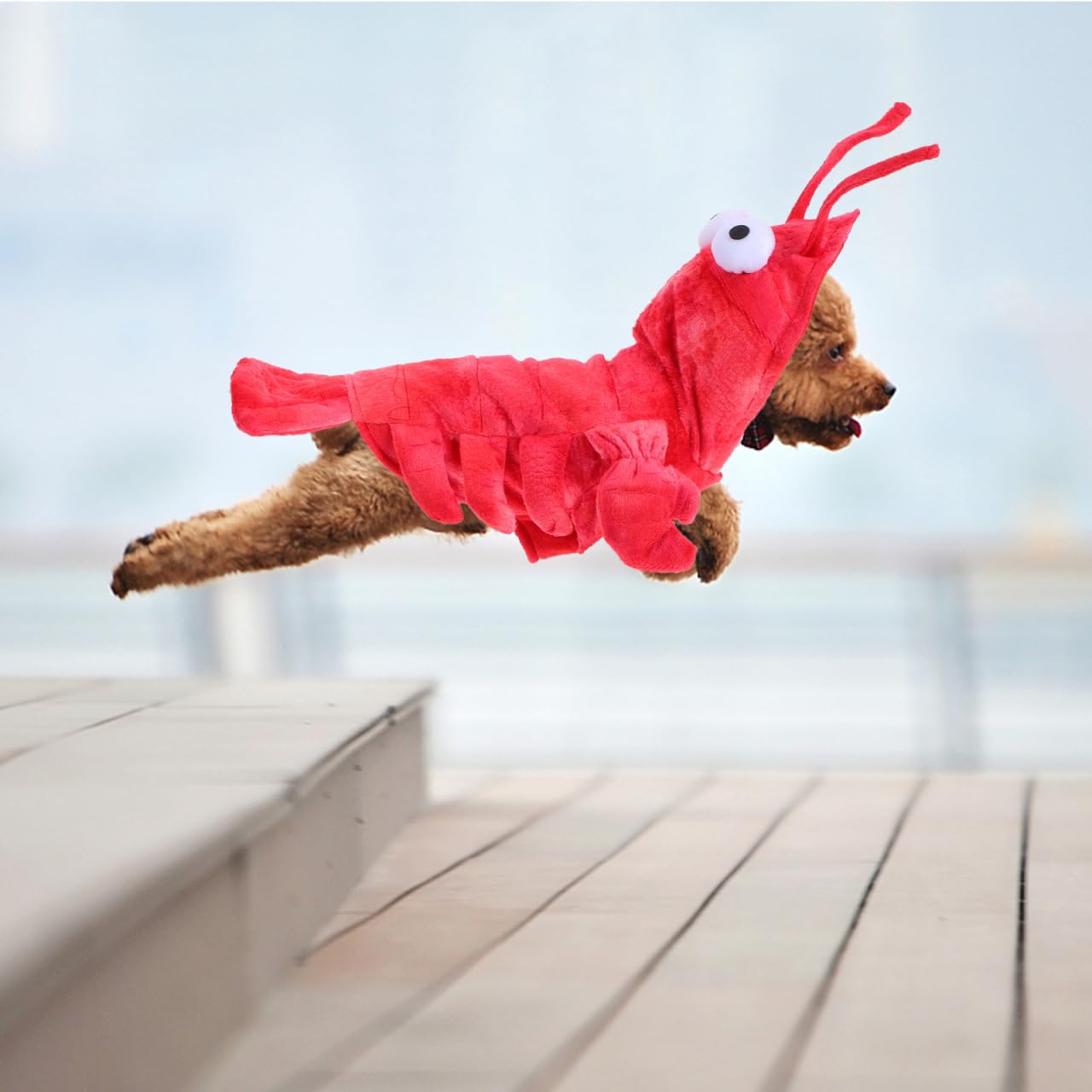BESPORTBLE Dog Cat Lobster Costume, Pet Halloween Cosplay Costumes Funny Puppy Halloween Apparel Pet Clothes Hoodie Outfit for S