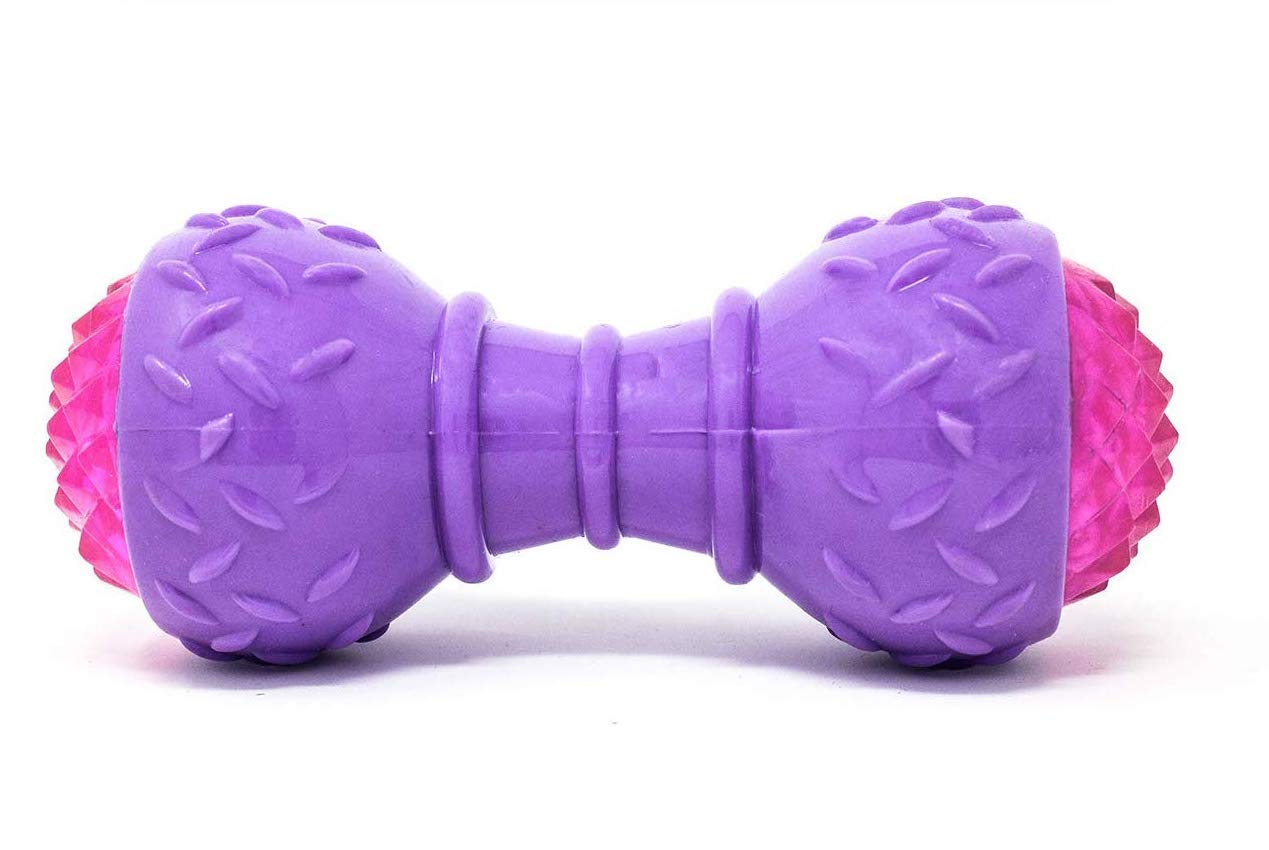 RvPaws Rubber Toy, TPR, LED Squeaker Interactive Dumbbell Toy for Dogs (Colour May Vary)