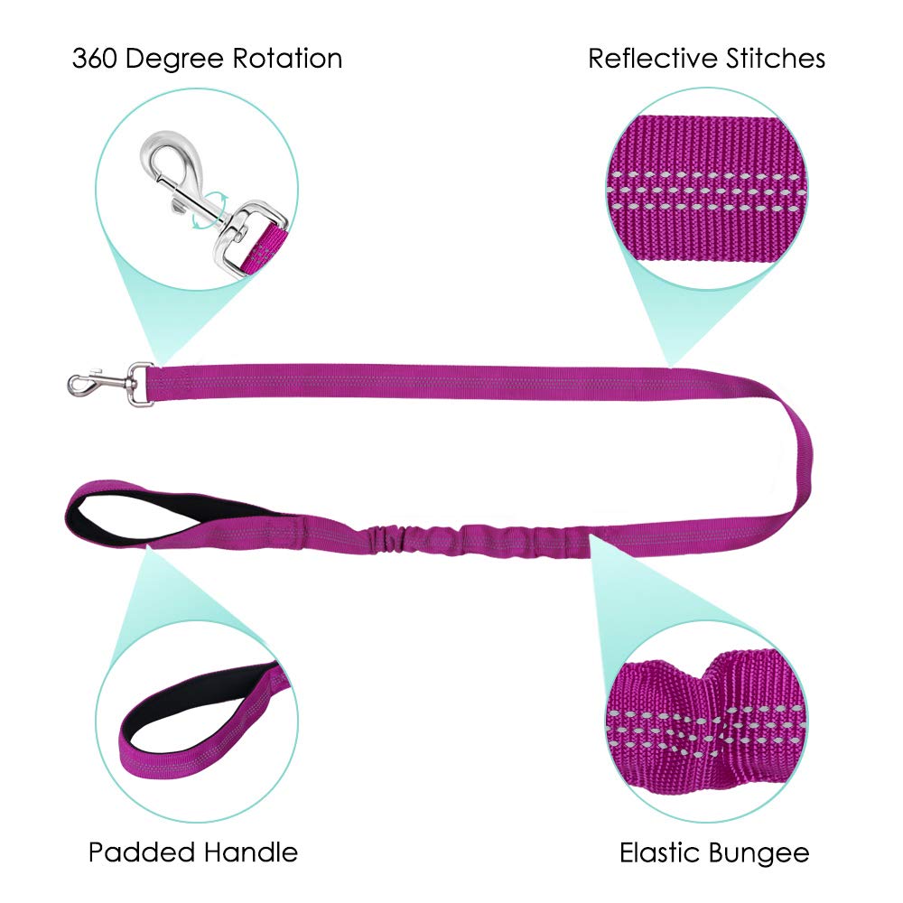 Slowton No Pull Small Dog Harness And Leash Set, Puppy Soft Vest Harness Neck & Chest Adjustable, Reflective Lightweight Harness & Anti-Twist Pet Lead Combo For Small Medium Dogs(Fu,L)