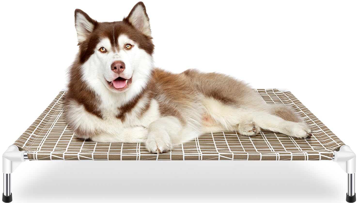 Dopliv Elevated Dog Bed - Raised Dogs Beds for Large Dogs, Portable Indoor & Outdoor Dog cot, Soft and Comfortable, Pet Bed for 