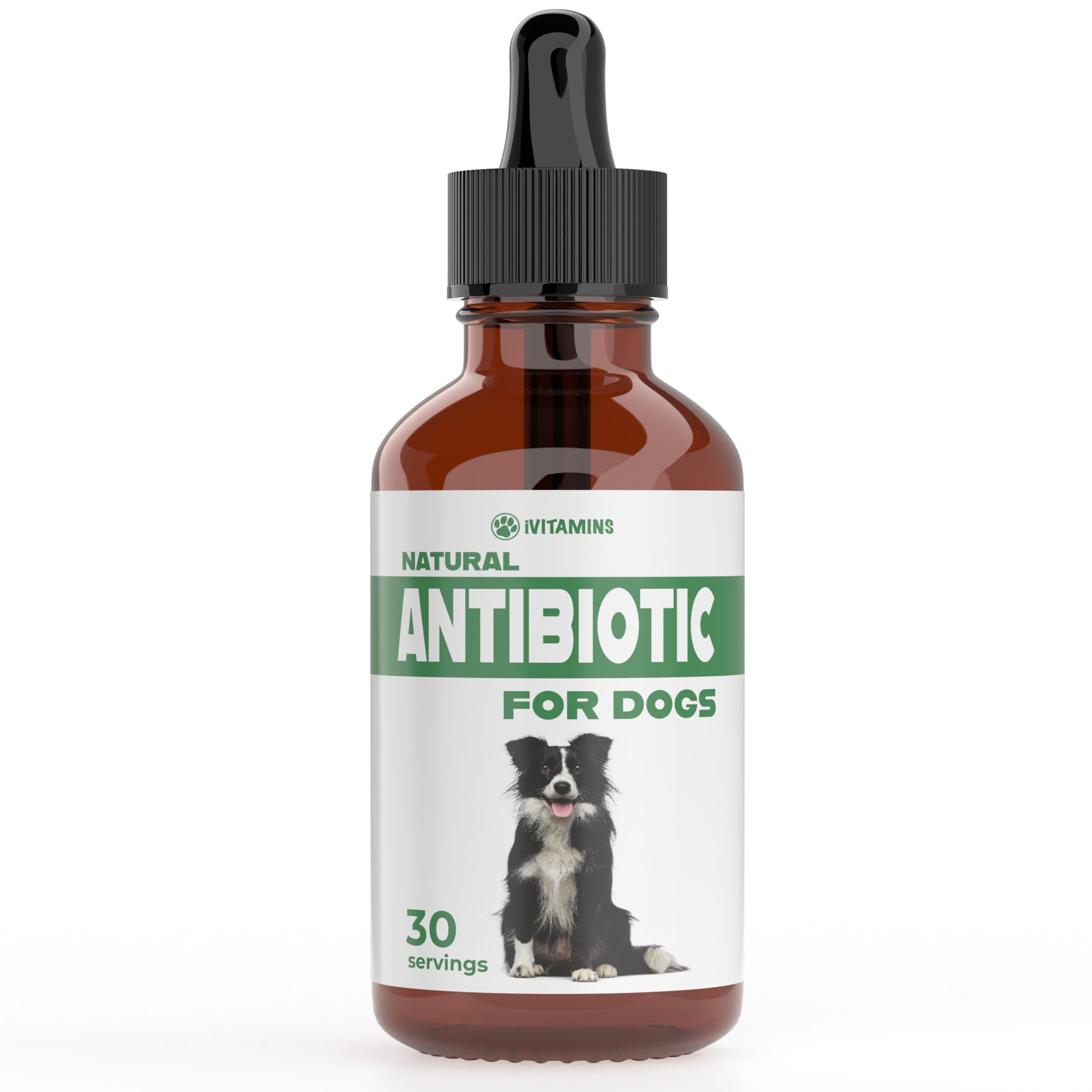 Natural Dog Antibiotics - Antibiotics for Dogs - Antibiotic for Dog - Yeast Infection Treatment for Dogs - Dog Yeast Infection T