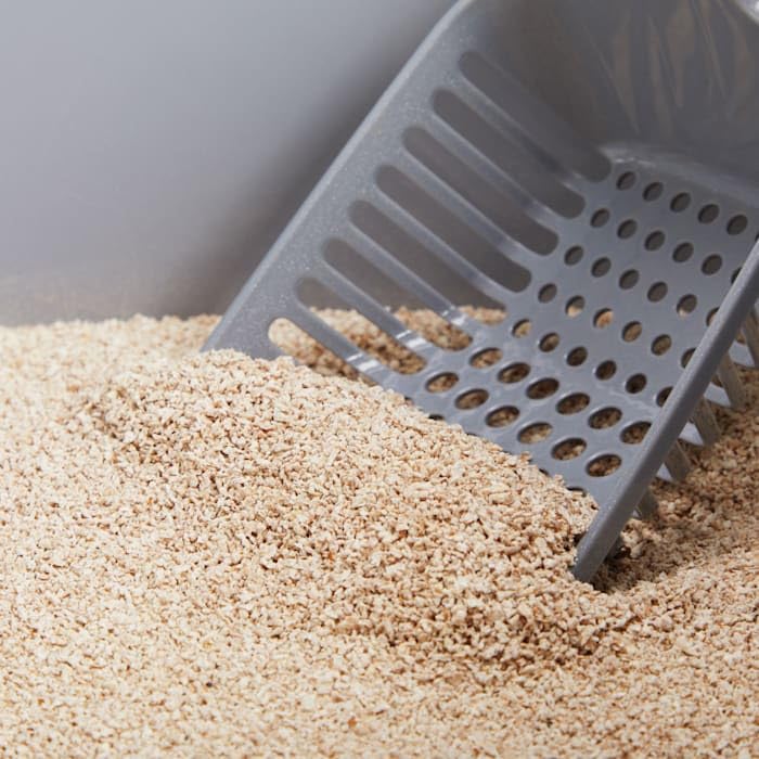 So Phresh Extreme Clumping Unscented Grass Seed Cat Litter 20 Lbs.