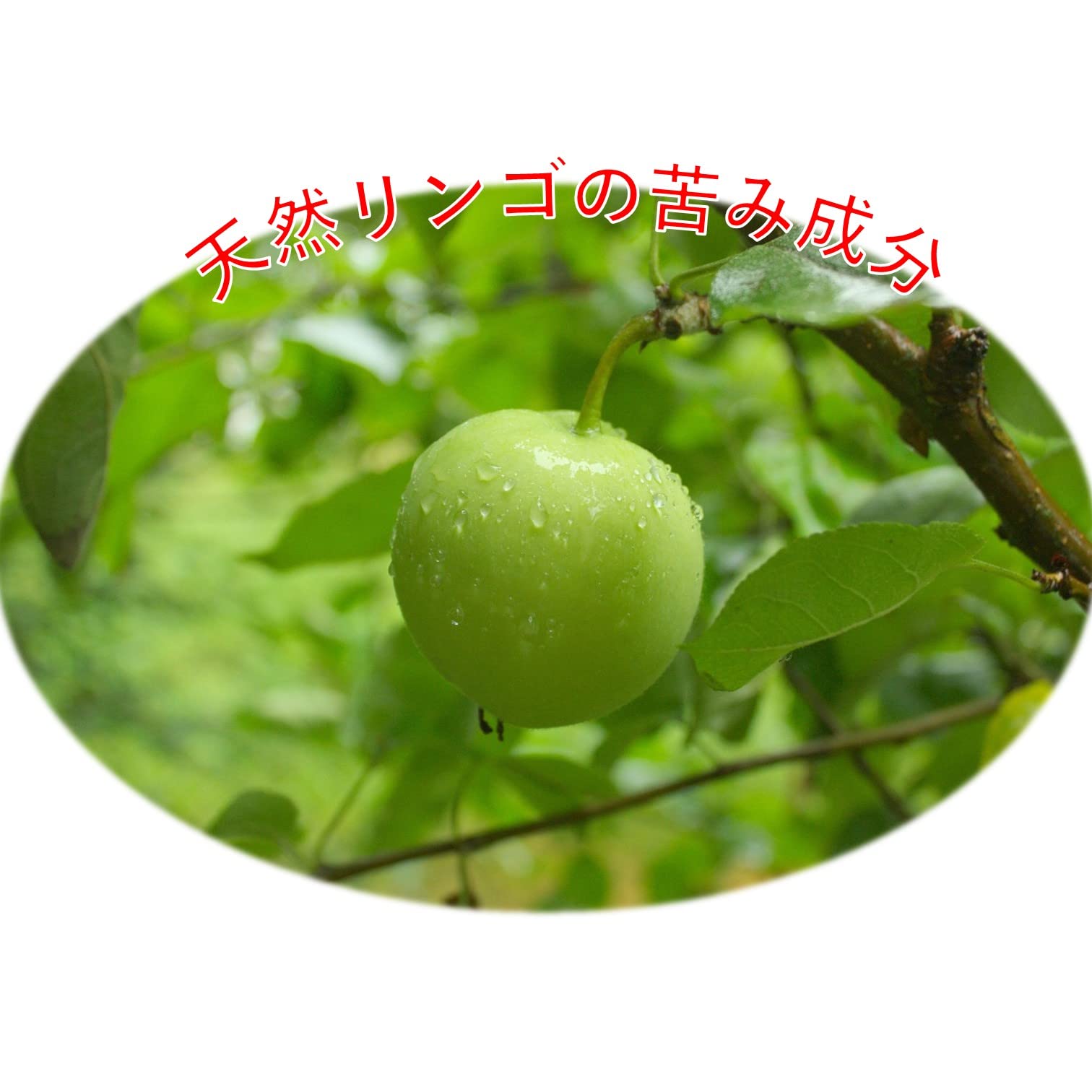 Grannick's Bitter Apple Taste Deterrent Spray for Dogs, 8 Oz - Effective Chew Prevention, White, Single Bottle