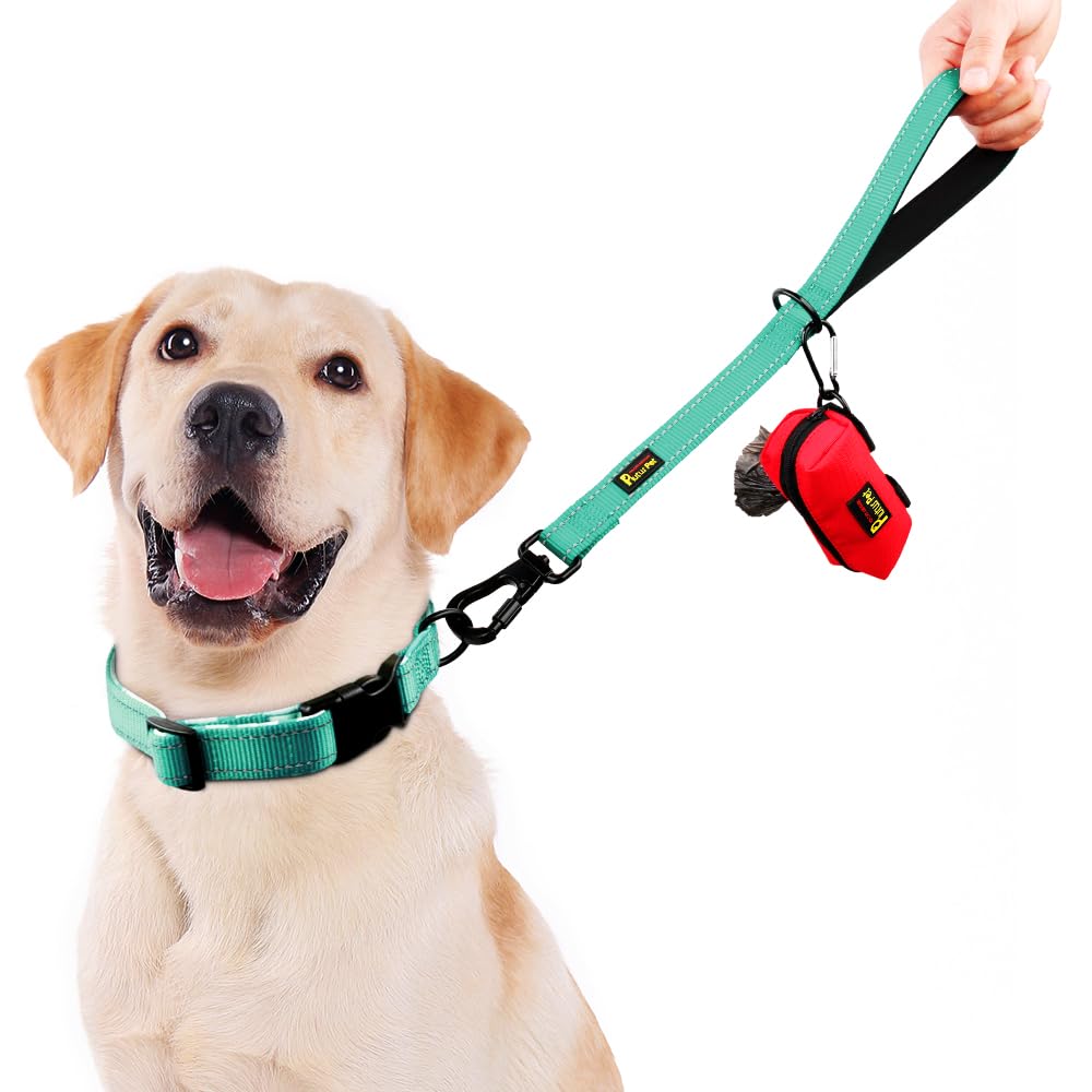 PLUTUS PET Short Training Dog Leash, 18 Inch Heavy Duty Traffic Leash, Padded Handle, Teal, for Medium Large Dogs