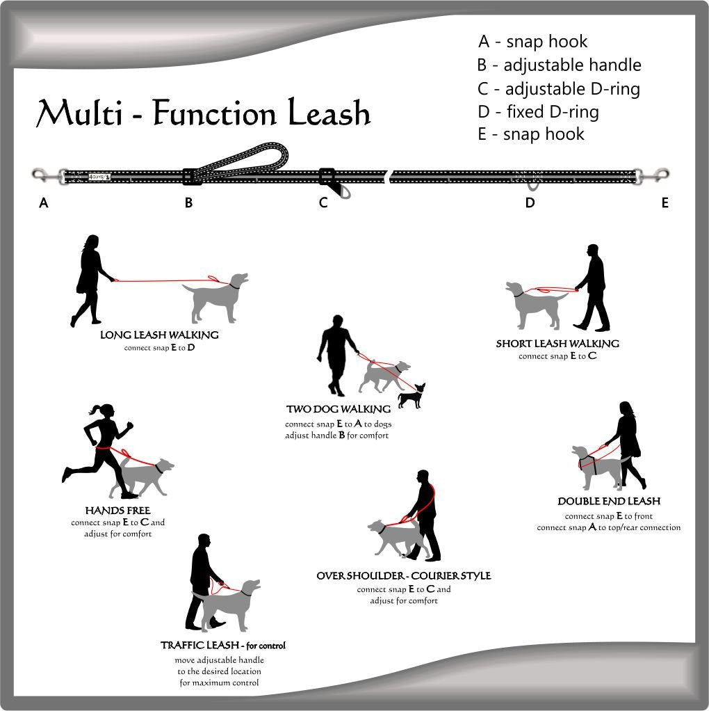 4Guys Total Control, Multi-Function, Hands-Free Dog Leash, Easy Control For Large And Medium Dogs, No Pull Harness Hiking Walkin