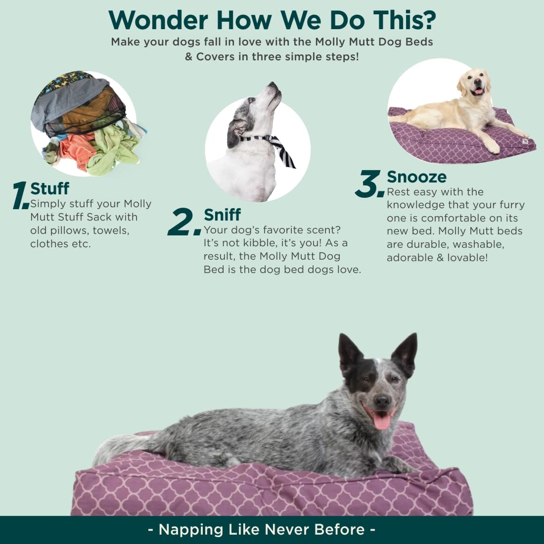 Molly Mutt Huge Dog Bed Cover -Royals - Measures 36”X 45”X 5’’ - 100% Cotton - Durable - Breathable - Sustainable - Machine Washable Dog Bed Cover