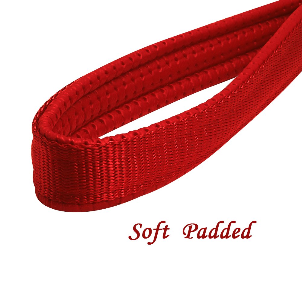 Beirui Premium 4 Foot Chain Heavy Duty Dog Leash - Soft Padded Handle Lead - Perfect Basic Leashes For Large & Medium Size Pets Walking,Traffic Training And Traveling (4.0Mm * 4 Foot, Red)