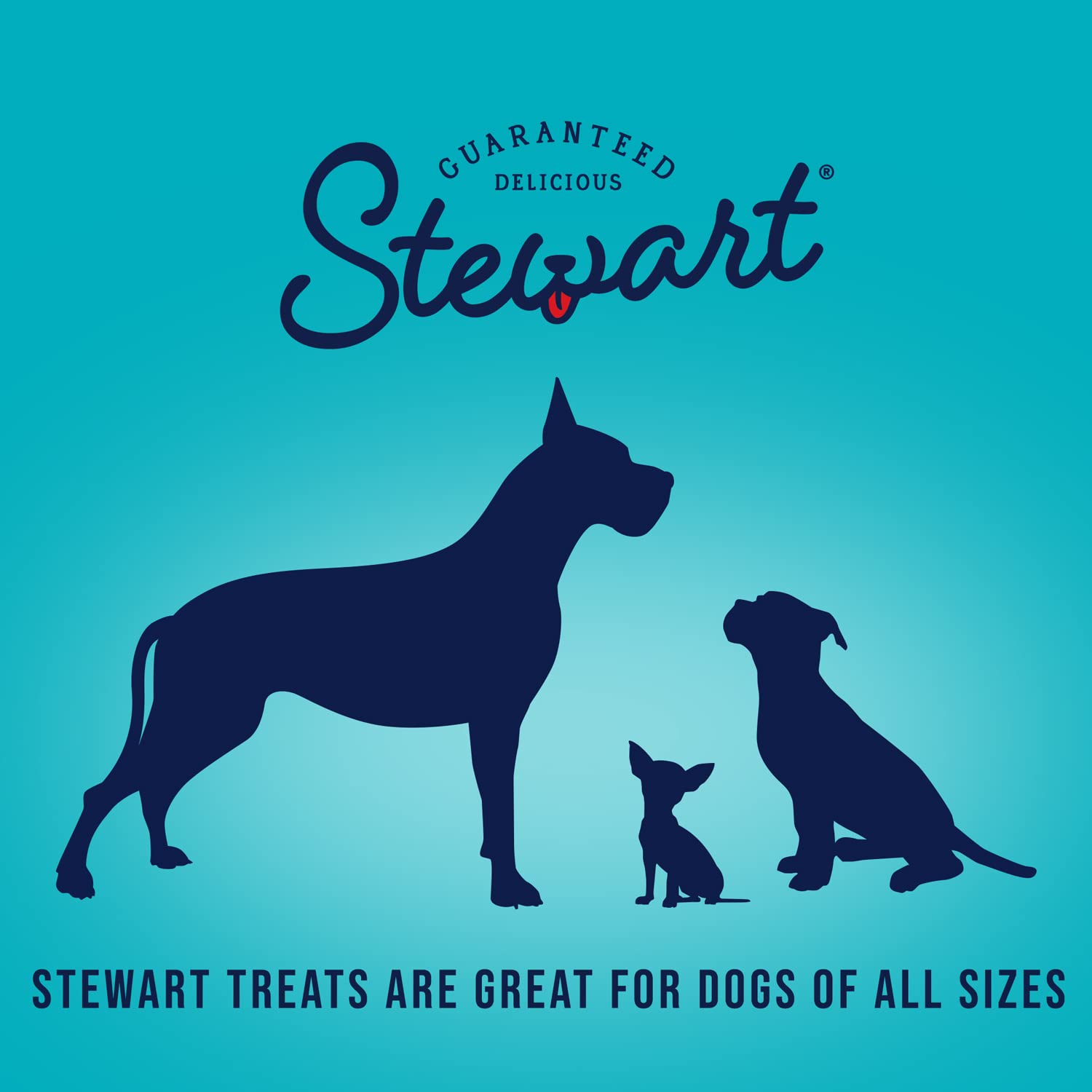 Stewart Single Ingredient Freeze Dried Raw Dog Treats, Chicken Breast, 14.8 Ounce Value Size Resealable Tub, Training Treats or