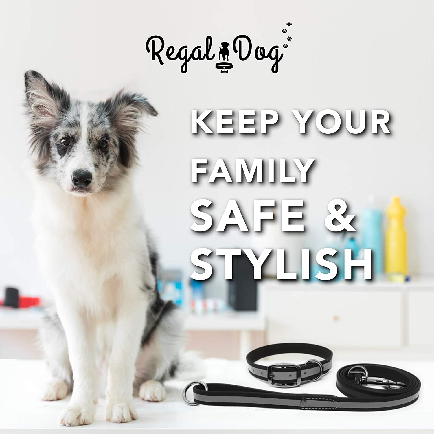 Regal Dog Products Small Black Reflective Dog Collar And Leash Set - Waterproof Biothane Dog Collar With Heavy Duty Double Buckl