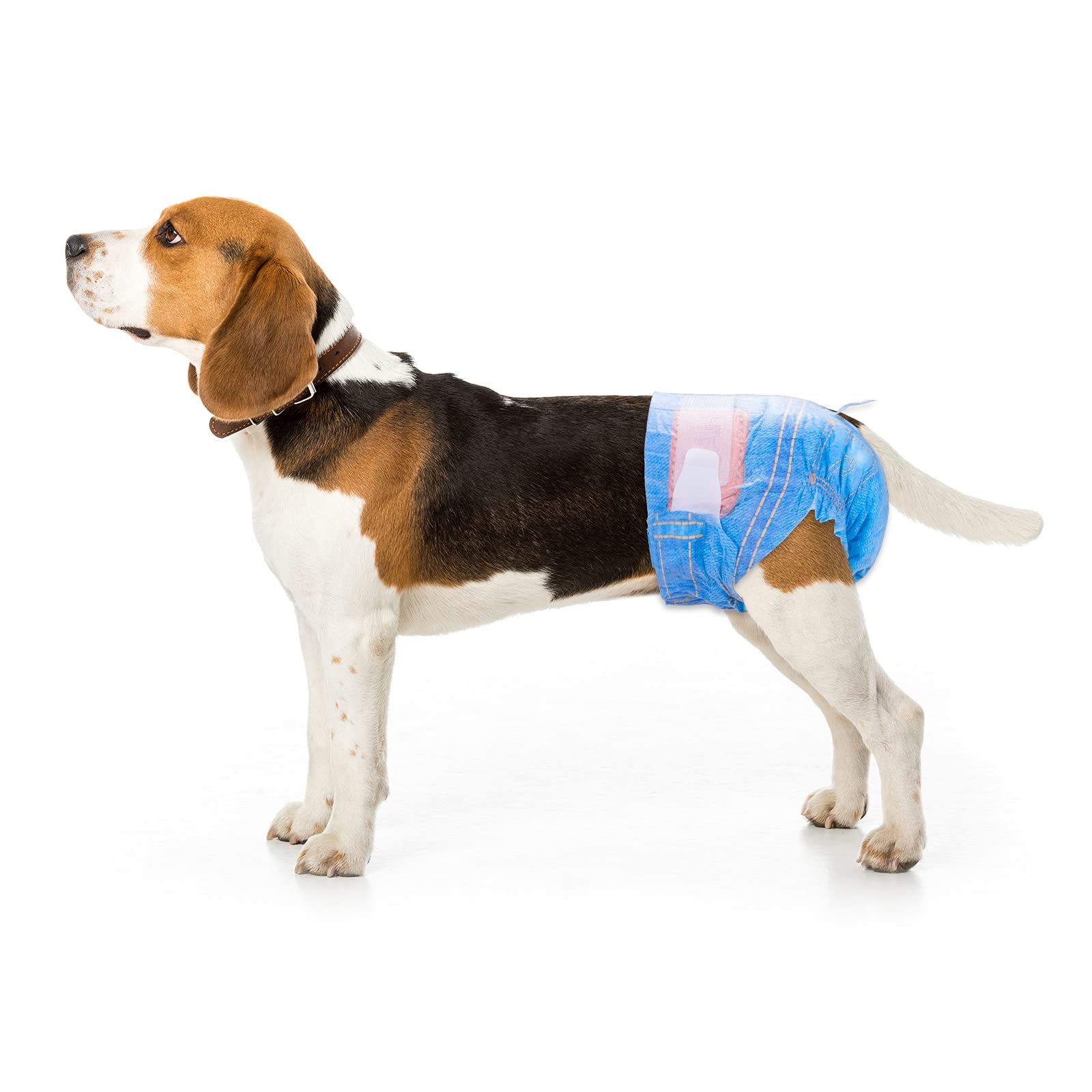 Pet Soft Dog Diapers Female - Disposable Dog Diapers, Cat Diapers For Female Cats, Puppy Diapers 8Pcs Xsmall