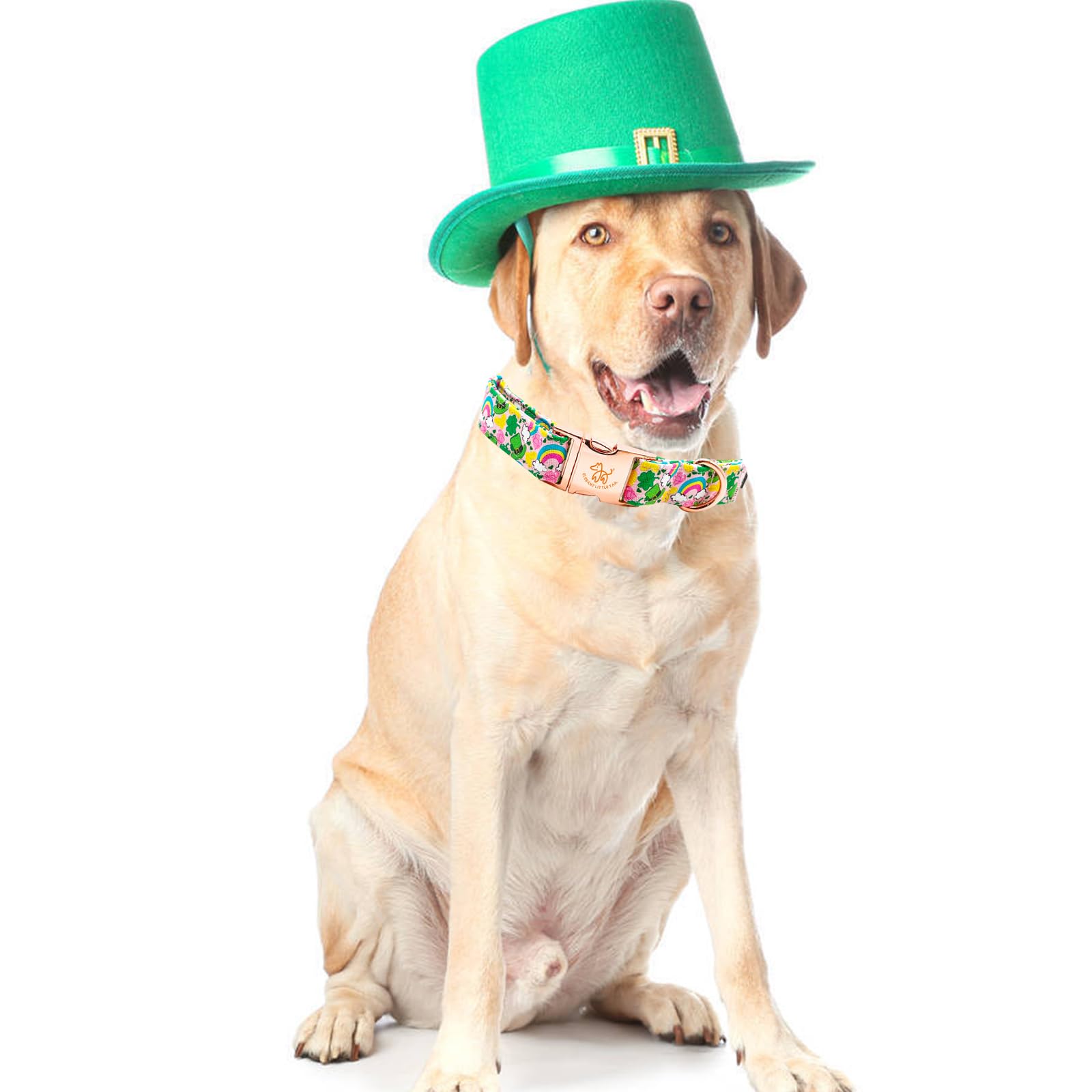 Elegant Green Clover Adjustable Large Dog Collar
