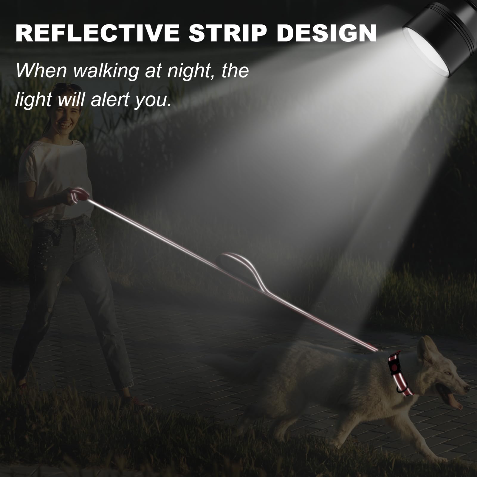 Bully Dog Leash 5Ft With Comfortable Padded Handle, Highly Reflective Threads, Adjustable, Red, Large