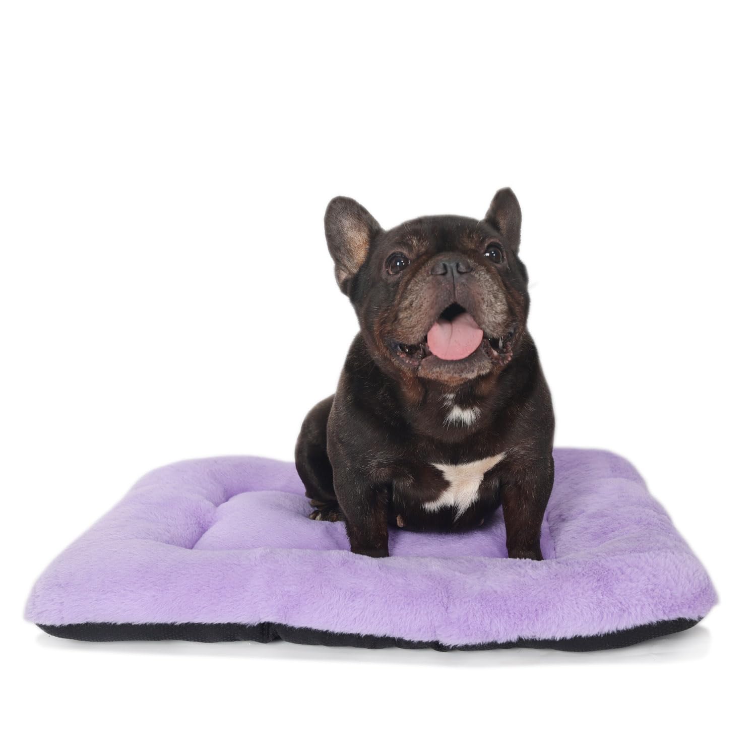 Wrkfree Dog Crate Bed 24 X 18 Purple For Small Dogs - Washable Comfy Fluffy For 24 Inches Cage Kennel - Indoor And Outdoor Use