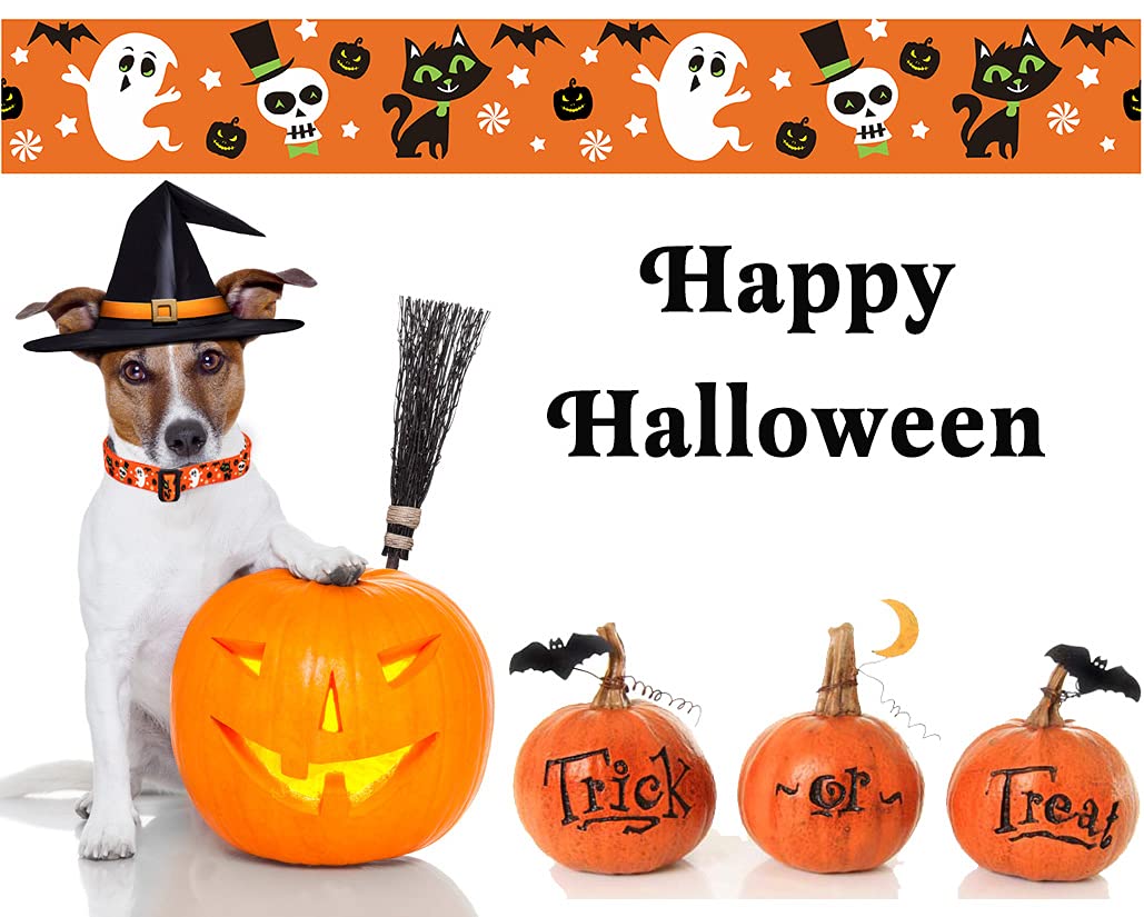 Mihqy Halloween Dog Collar - Pumpkin Bat Ghost Pattern - Adjustable For Small Medium Large Dogs(Halloween,Xs)