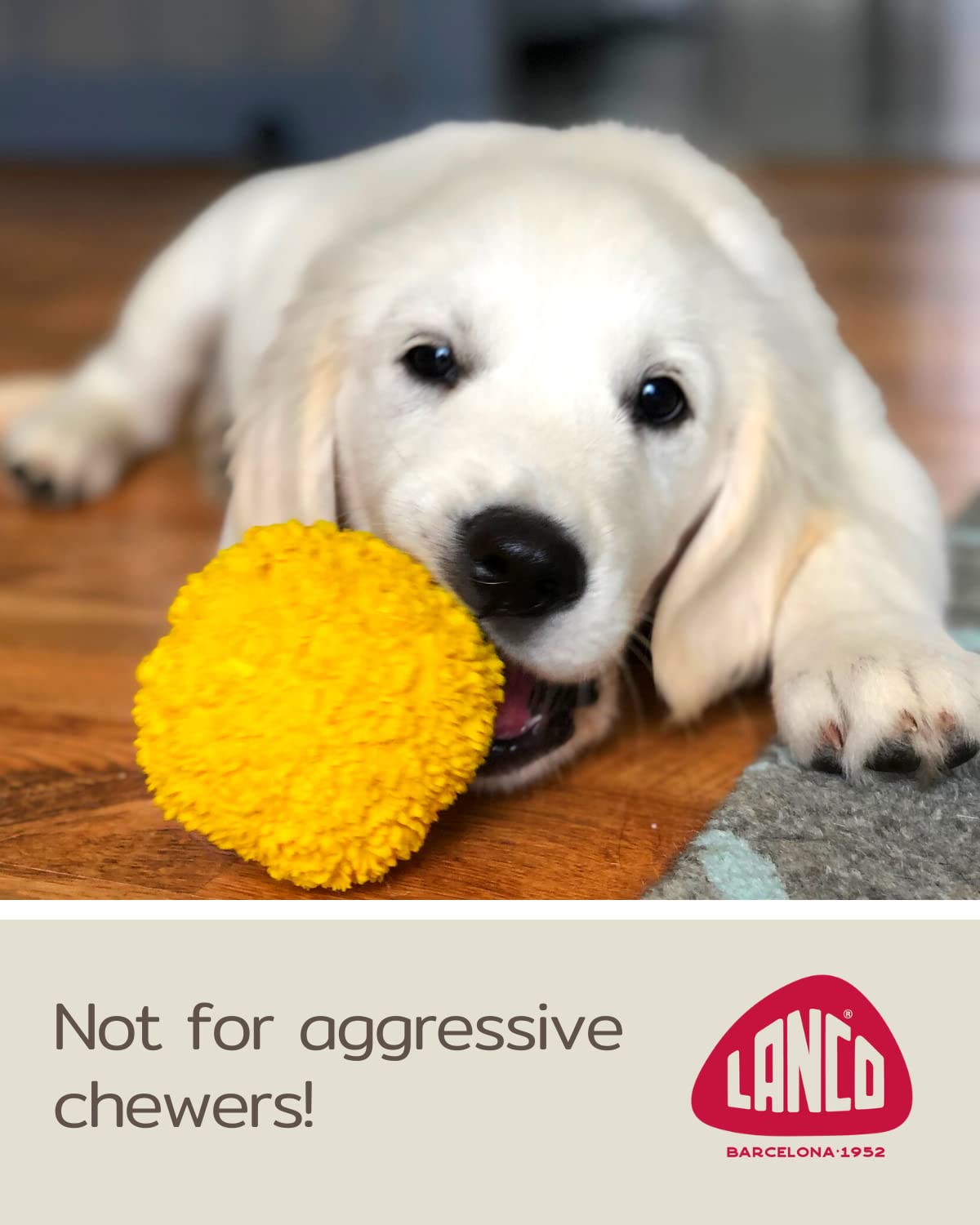 Set Of 2 Squeaky Rubber Balls For Puppies - 3' - Sensory Dog Toys - Soft Natural Rubber (Latex) - Puppies Small Breeds - Comply With Same Safety Standards As Baby Toys
