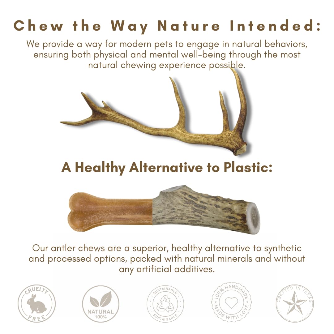 WhiteTail Naturals - Deer Antlers for Large Dogs (2 Pack- Jumbo XXL) All Natural Antler Dog Chew - Naturally Shed, Long Lasting
