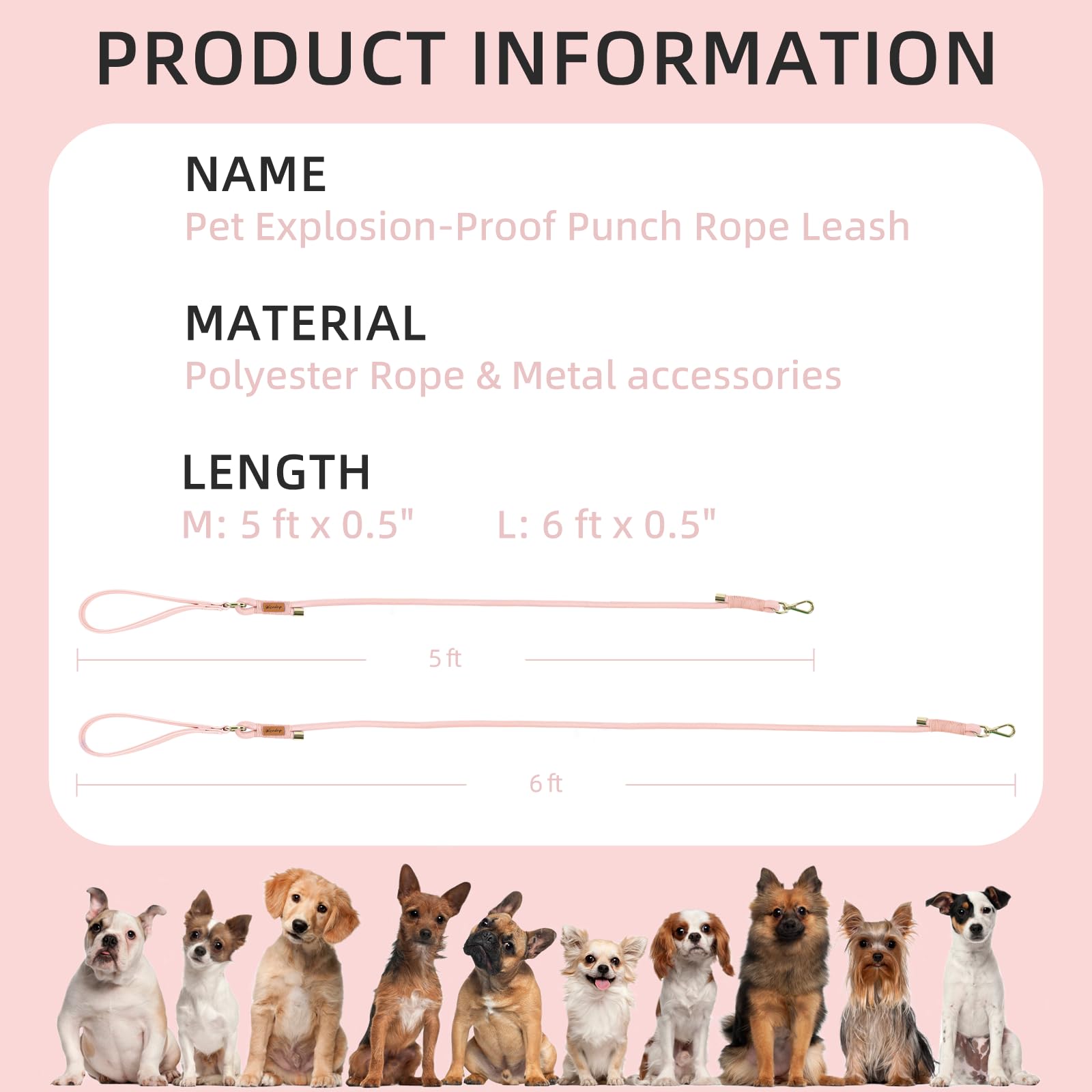 Wisedog Polyester Rope Dog Leash Heavy Duty With Soft Comfortable Padded Handle, Durable Stylish Braided Pet Leash 5 Ft/6 Ft For