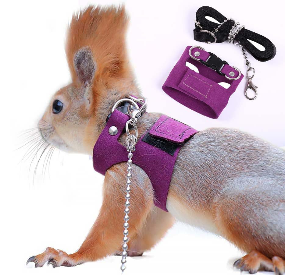 Squirrel Traction Rope Strap Anti-Biting Chain Rope, Adjustable Vest, Small Animal Walking Harness With Lead Leash, Hamster Gerbil Rat Mouse Ferret Chinchilla Small Animal Walking Leash