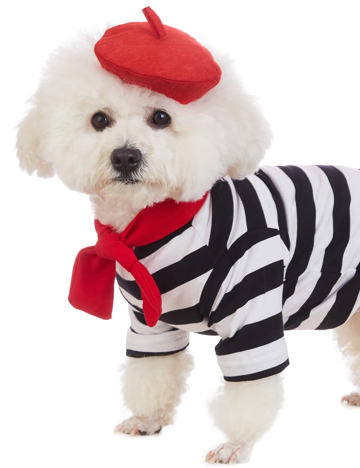 Coomour Artist Dog Costume With Funny Hat Painter Pet Clothes For Small Dog Shirts Puppy Summer T-Shirt (S) Black