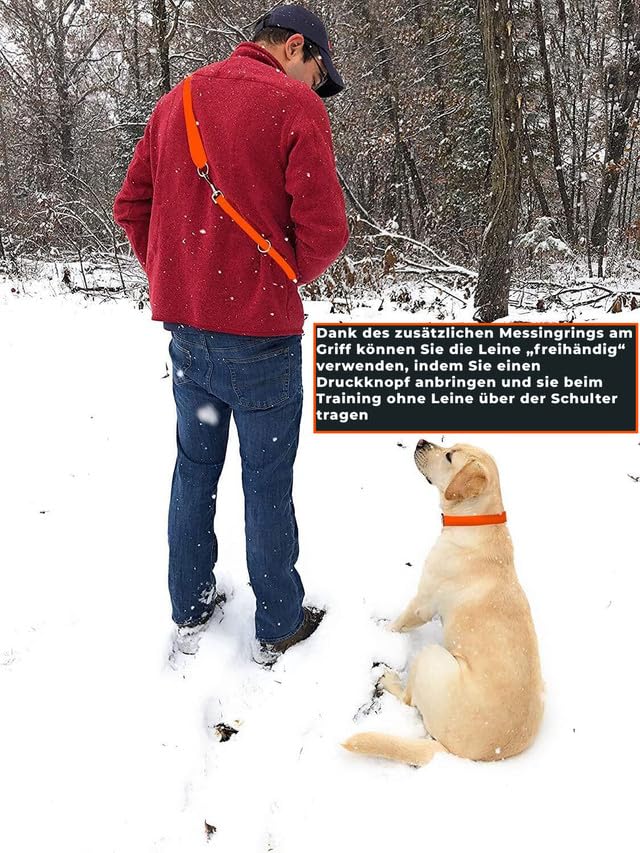 Regal Dog Products Medium Blue Waterproof Dog Collar And Leash Set | Heavy Duty Double Buckle & D Ring - 5'Ft Leash | Adjustable