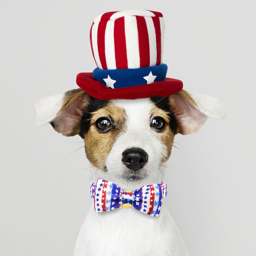 Maca Bates American Flag Dog Collar With Stars Bow Tie For Dogs Bowtie 4 Of 7 Blue Red And White Adjustable Durable Patriotic St