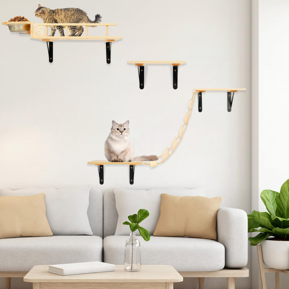 Timieeya Cat Wall Shelves - Set Of 5 Cat Wall Furniture, Cat Shelves And Perches For Wall, Indoor Cat Climbing Shelf With 2 Cat 
