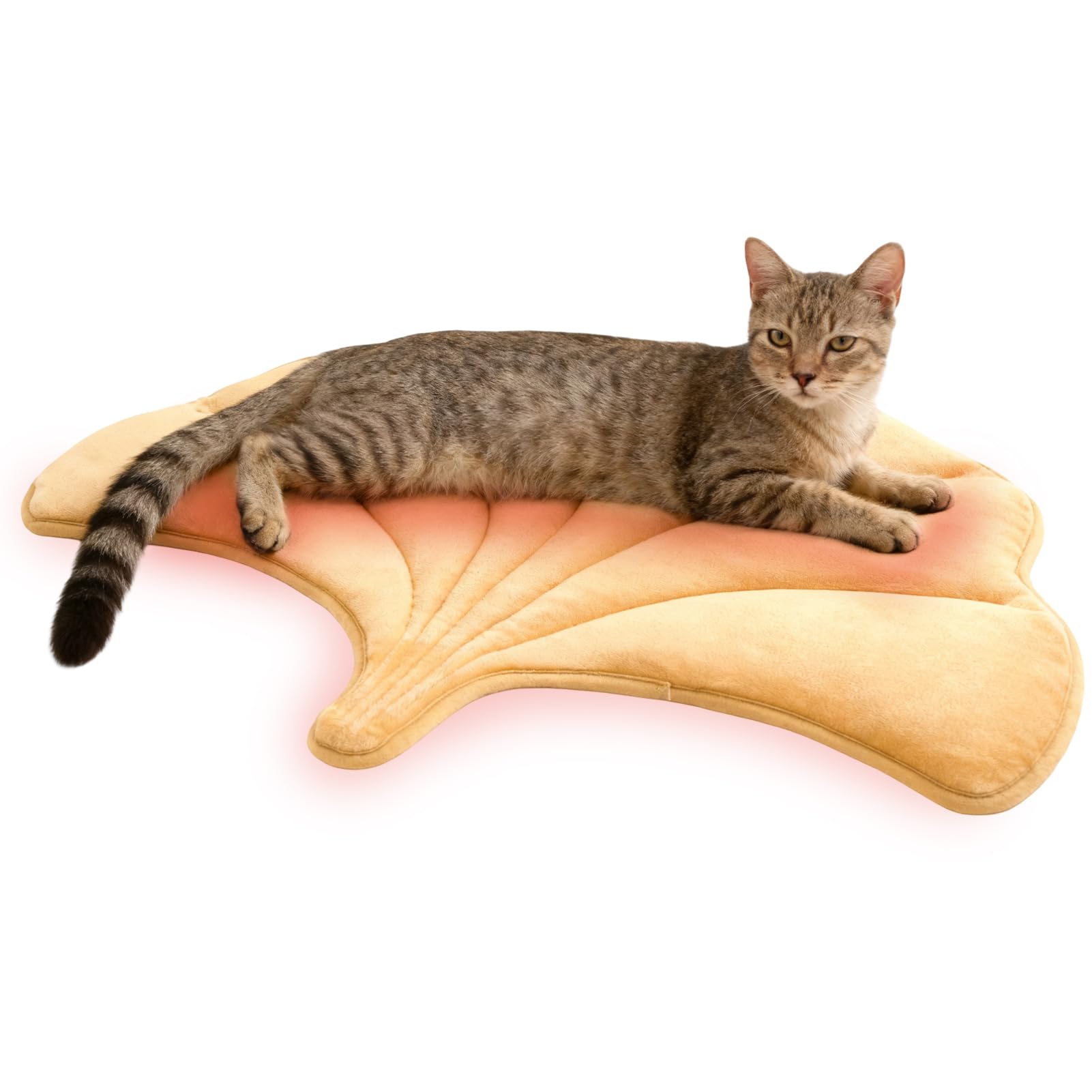 KOOLTAIL Self Warming Cat Bed Mat for Indoor Cats Dogs, Reversible Cozy Pet Heated Pad Blanket with Thermal Foil, Thicken Cat Wi