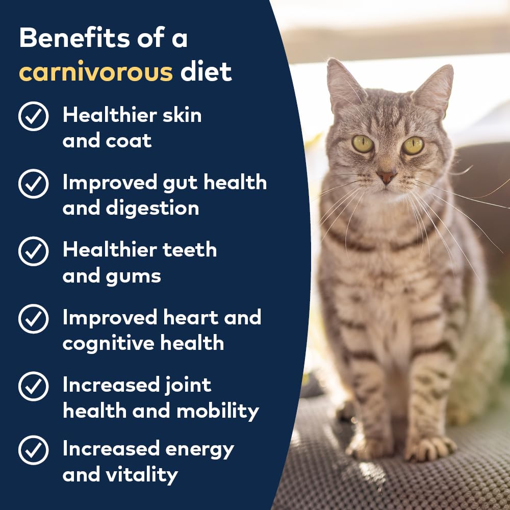 ZIWI Peak Canned Wet Cat Food - All Natural, High Protein, Grain Free, Limited Ingredient, with Superfoods (Beef), 6.5 Ounce (Pa