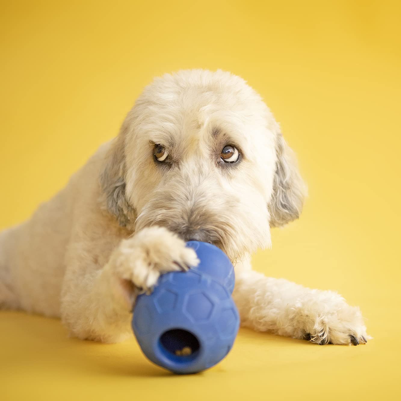 JW Tumble Teez Puzzler Treat Dispenser, Large