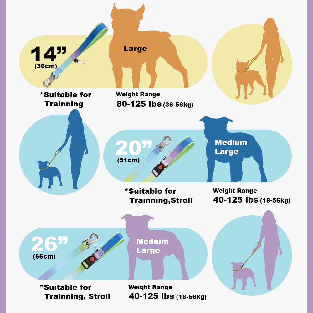 Tspro Dog Training Leash With Sturdy Metal Buckle, 26 Inches Adjustable Short Leash For Large Dogs, Comfortable Padded Handle (B