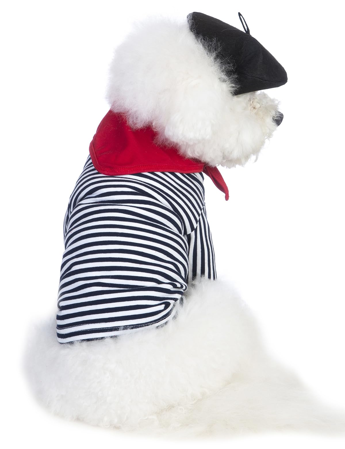 Coomour Artist Dog Costume With Funny Hat Painter Pet Clothes For Small Dog Shirts Puppy Summer T-Shirt (2Xl,Black02)