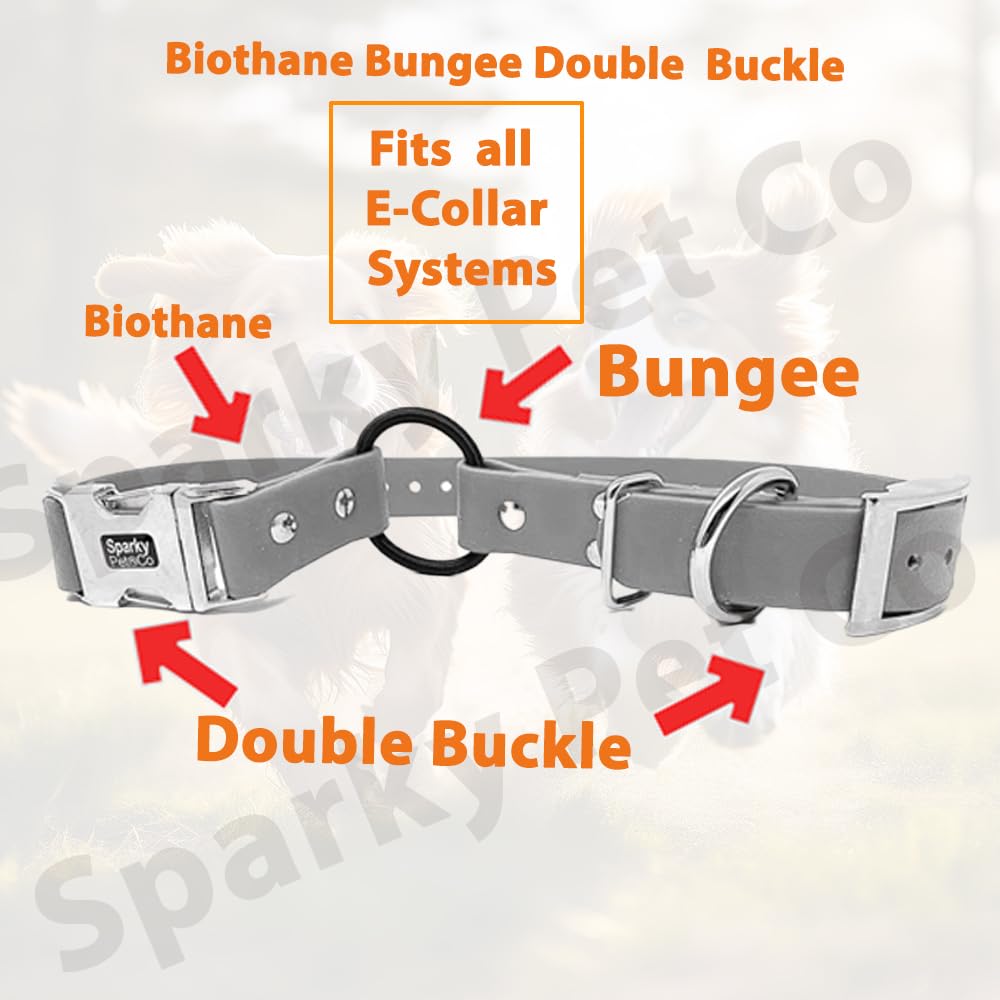 Sparky Pet Co - Zeus Ecollar Replacement Strap - Bungee Loop Dog Collar - Waterproof Biothane - Adjustable - Double Buckle - Quick Snap Metal Clasp - For Invisible Fence Systems - 3/4' X 28' Neon Pink