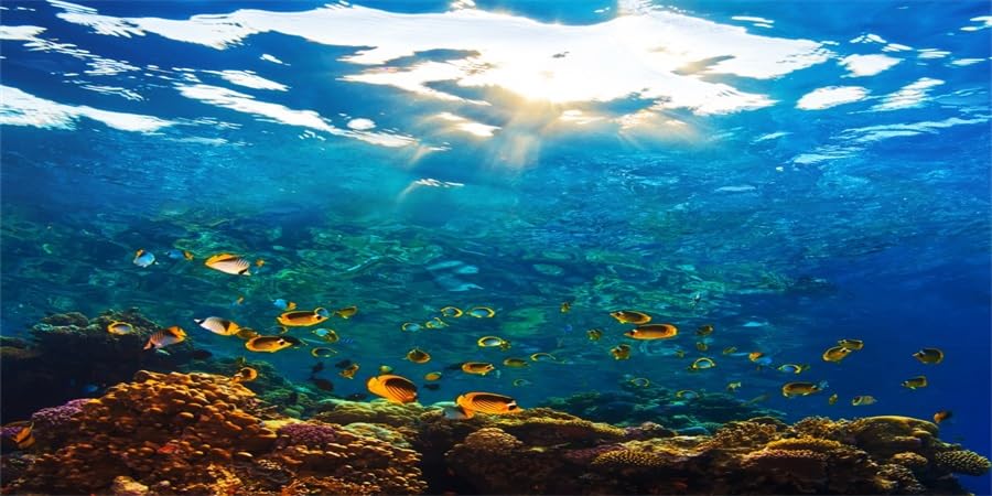 YongFoto Ocean Theme Fish Tank Background 72x18 inch Seaweed Coral Reef Rock Seafloor Tropical Fish Underwater Sea World Polyest