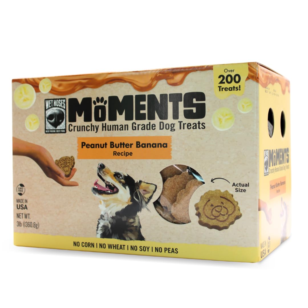 Wet Noses Moments Non-GMO Peanut Butter Jungle Animal Crunchy Dog Treats - 3lb | No Corn, Wheat, Soy or Peas, Made with 5 Simple