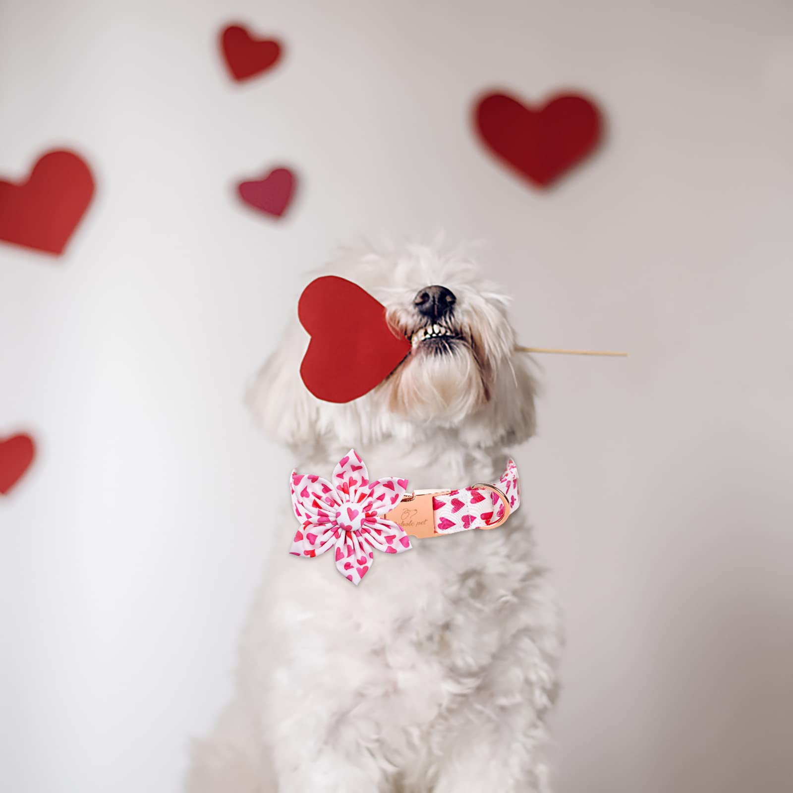 Babole Pet Valentine'S Day Dog Collar With Flower Tie, White Red Love Male Dog Collar With Safety Metal Buckle Adjustable Puppy Collars For Small Medium Large Boy & Girl Dog,L-Neck 16'-24'