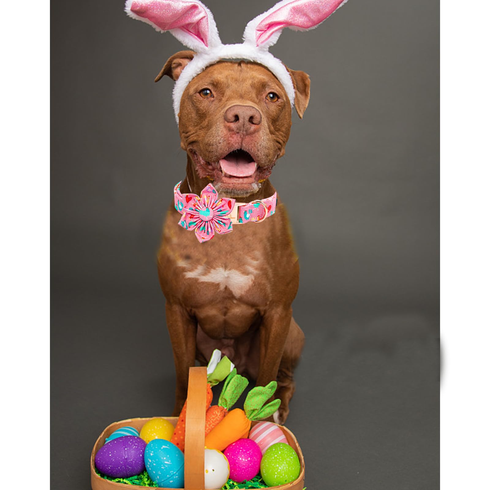 Lionheart Glory Easter Day Dog Collar With Flower Dog Collar For Large Dogs, Easter Chickens Colorful Dog Flower Collars Spring