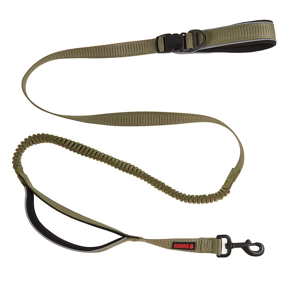 Kong Reflective Shock Absorbing Hands-Free Bungee Dog Leash 6' (Green)