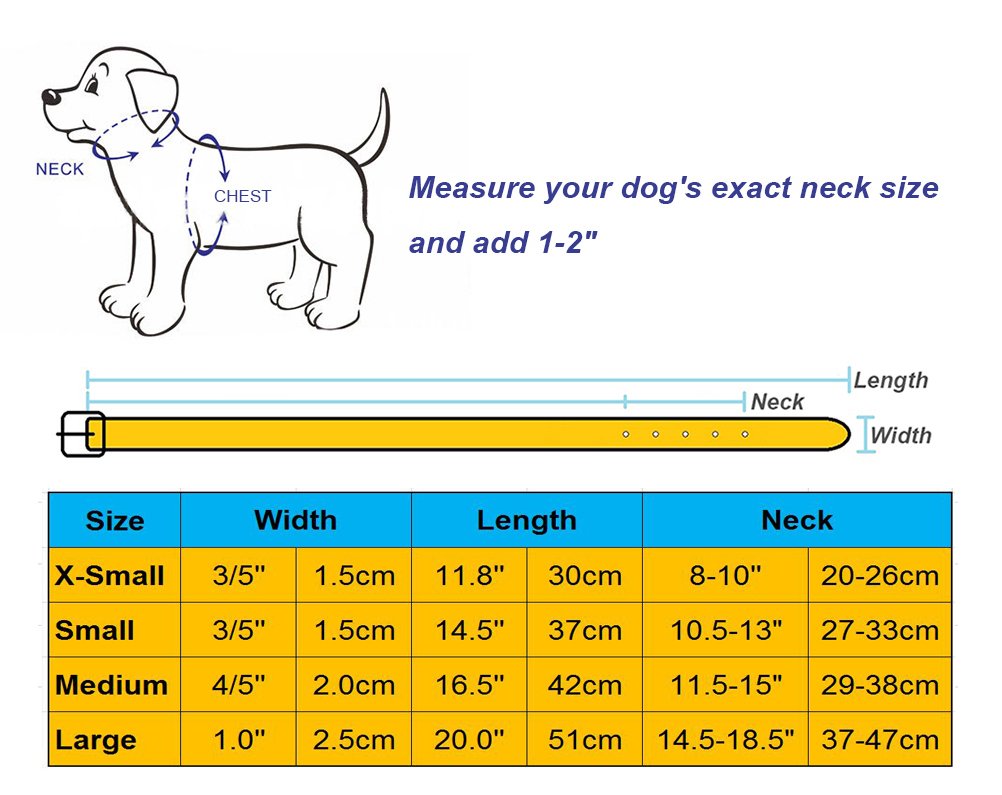 Aolove Basic Classic Padded Leather Pet Collars For Cats Puppy Small Medium Dogs (Black, Small)