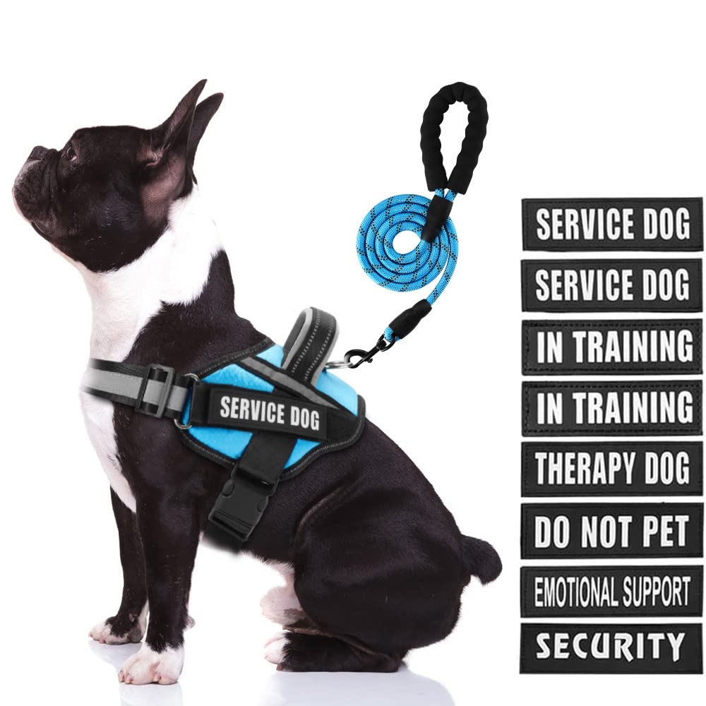 Animire Service Dog Harness (Medium, Light Blue) With Reflective Strips, Leash, And 10 Patches, For Dog Training And Walking