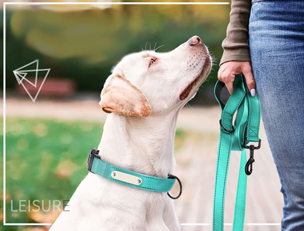 Reflective Nylon Dog Leash Heavy Duty, Two Handles with Padded for Extra Control Outside Durable Training Lead for Small Medium