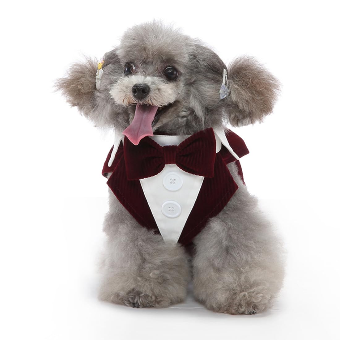 Doteyayp Puppy Velvet Tuxedo With Detachable Bowtie Prom Wedding Formal Wear Prince Costume For Small Dog (Large, Wine Red)