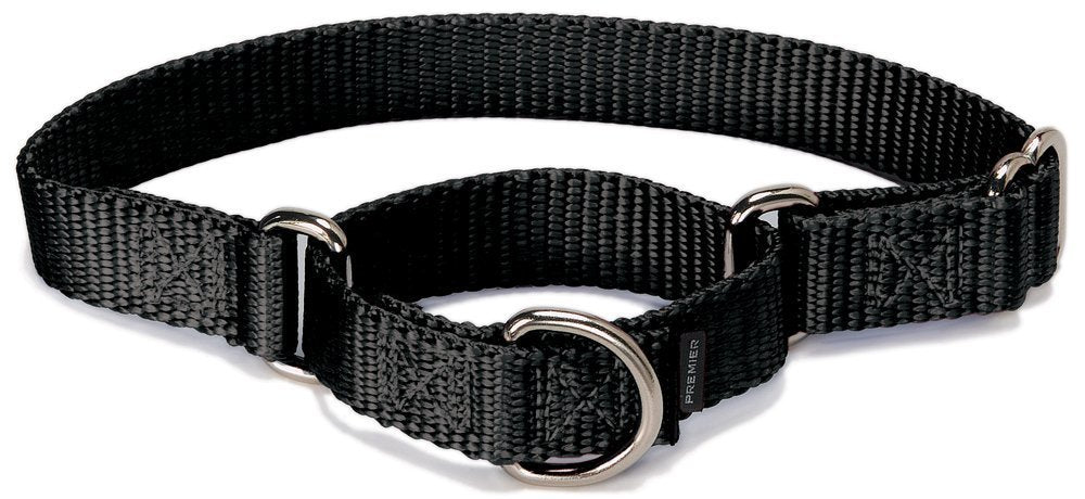 Petsafe Adjustable Martingale Collar - Only Tightens When Dogs Pull, Prevents Slipping Out - Helps With Strong Pullers, Increase