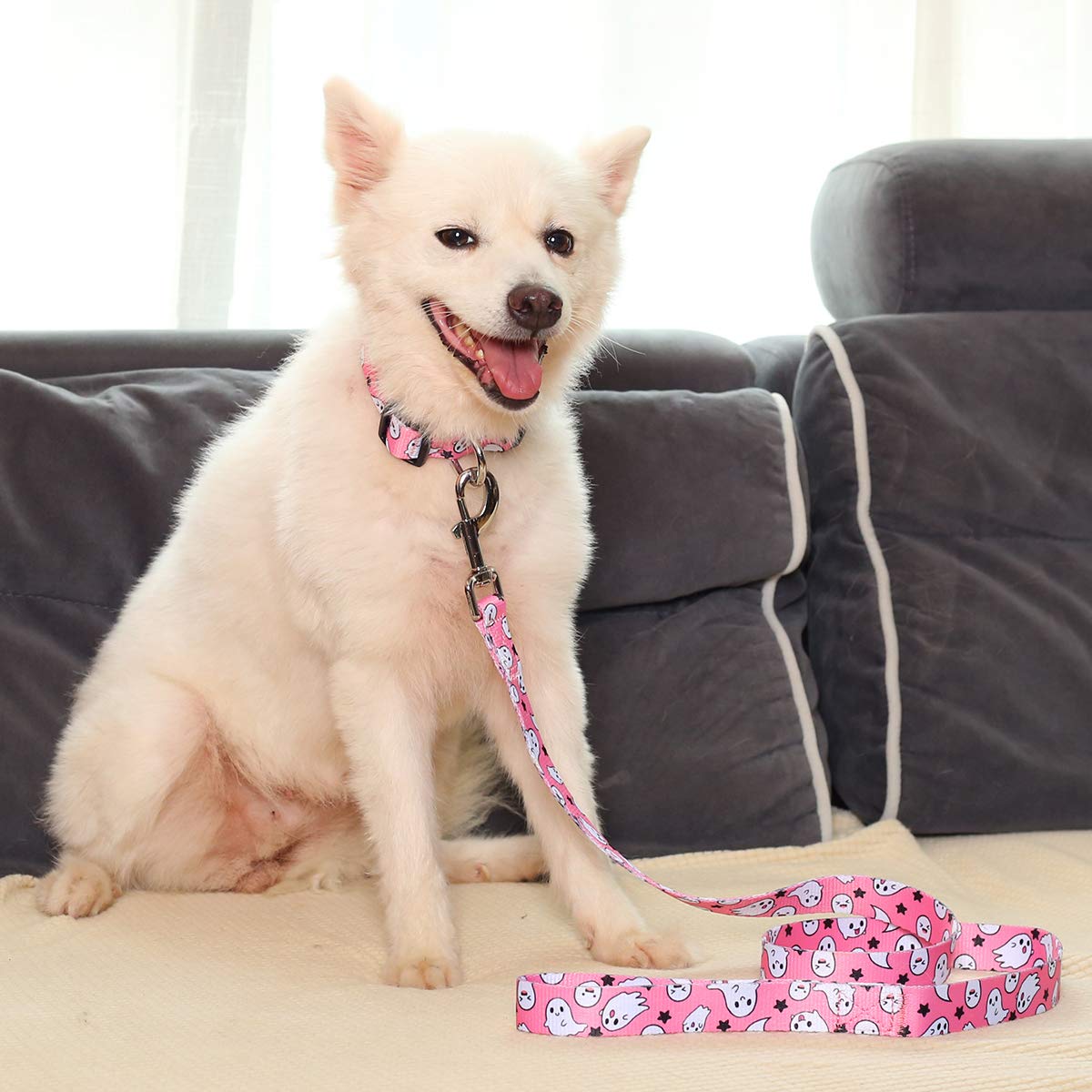 Impoosy2Pcs Dog Halloween Collar With Pet Ghost Leash Set Cat Gift Adjustable Dog Cute Collars For Small Medium Large Pets Dogs Cats (X-Lrge, Pink)