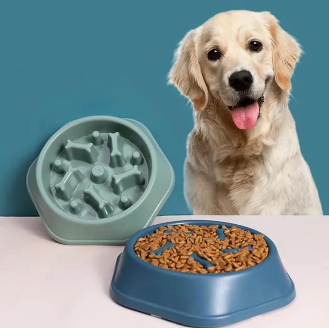 Kittupet 1Pc AnxietyRelieving Slow Feeder Pet Bowl For Dogs And Cats  Promotes Healthy Eating And Reduces Choking Risk Random 